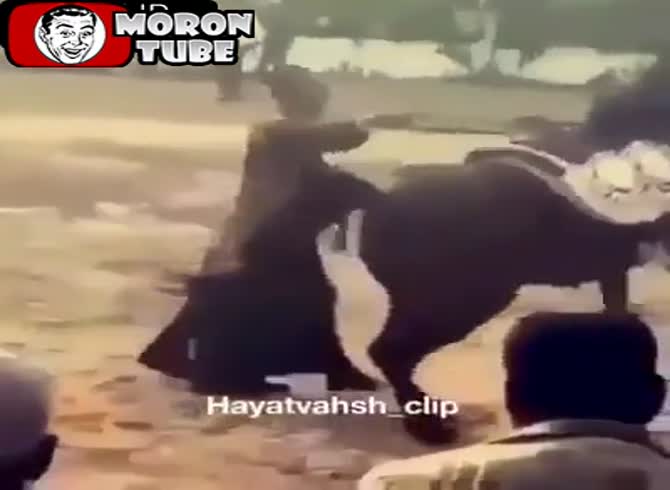 Video :A diver makes a mistaken dive